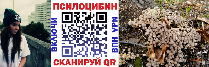 где можно купить   Фрязино  Галлюциногенные грибы Psilocybe 